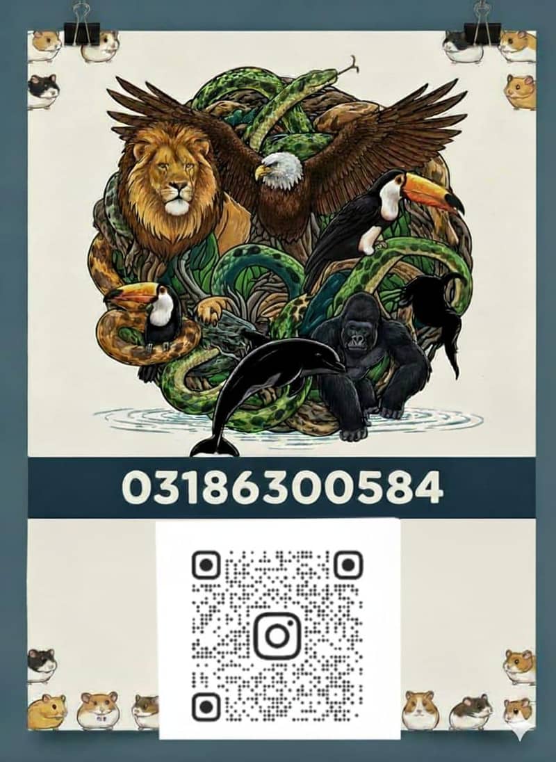 HAMSTERS AVAILABLE 18