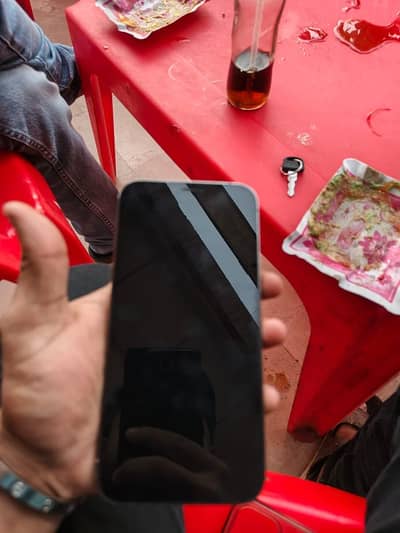 iPhone 12 Pro Max PTA approved