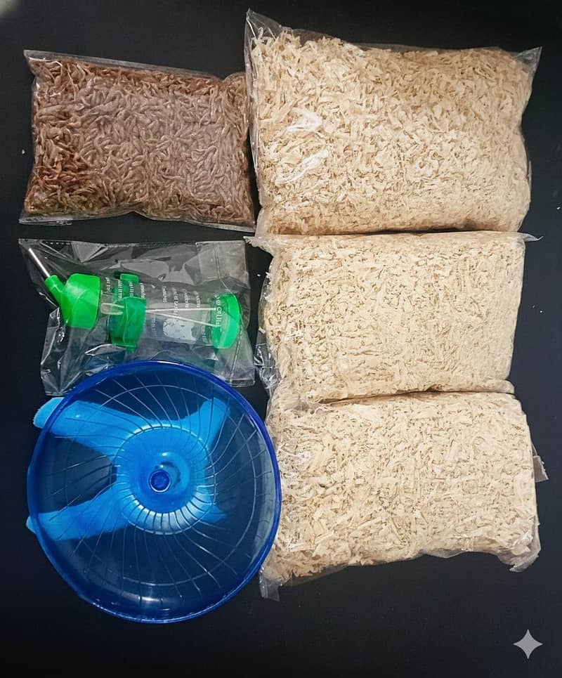 HAMSTERS AVAILABLE 17