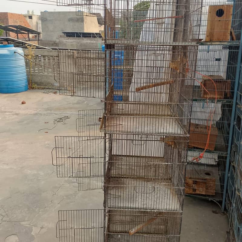 cages 1