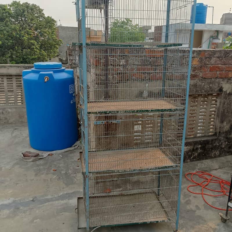 cages 4