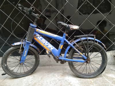 Alsvin 2024 1year used