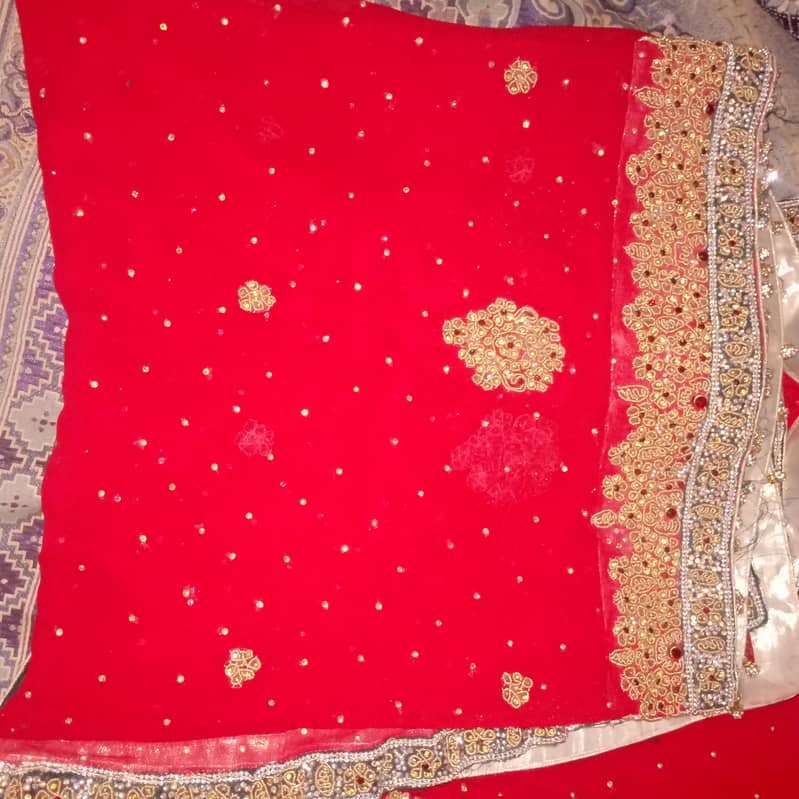 Lehnga 3