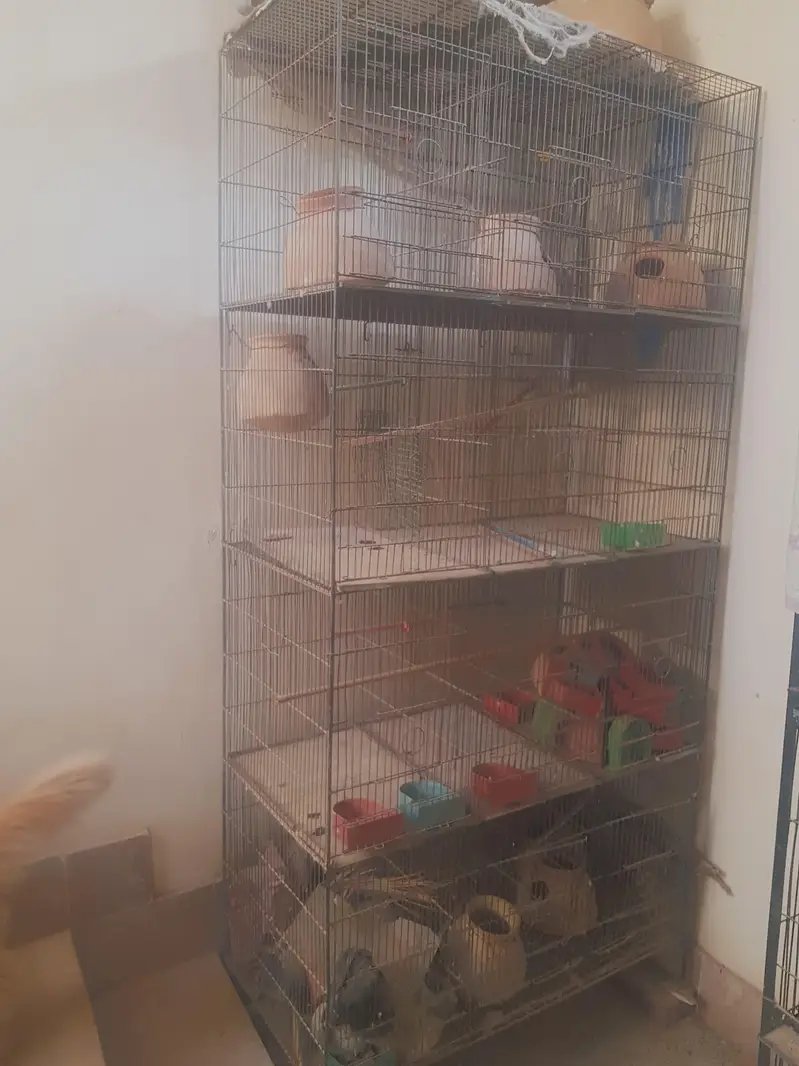 Cage 12 portions