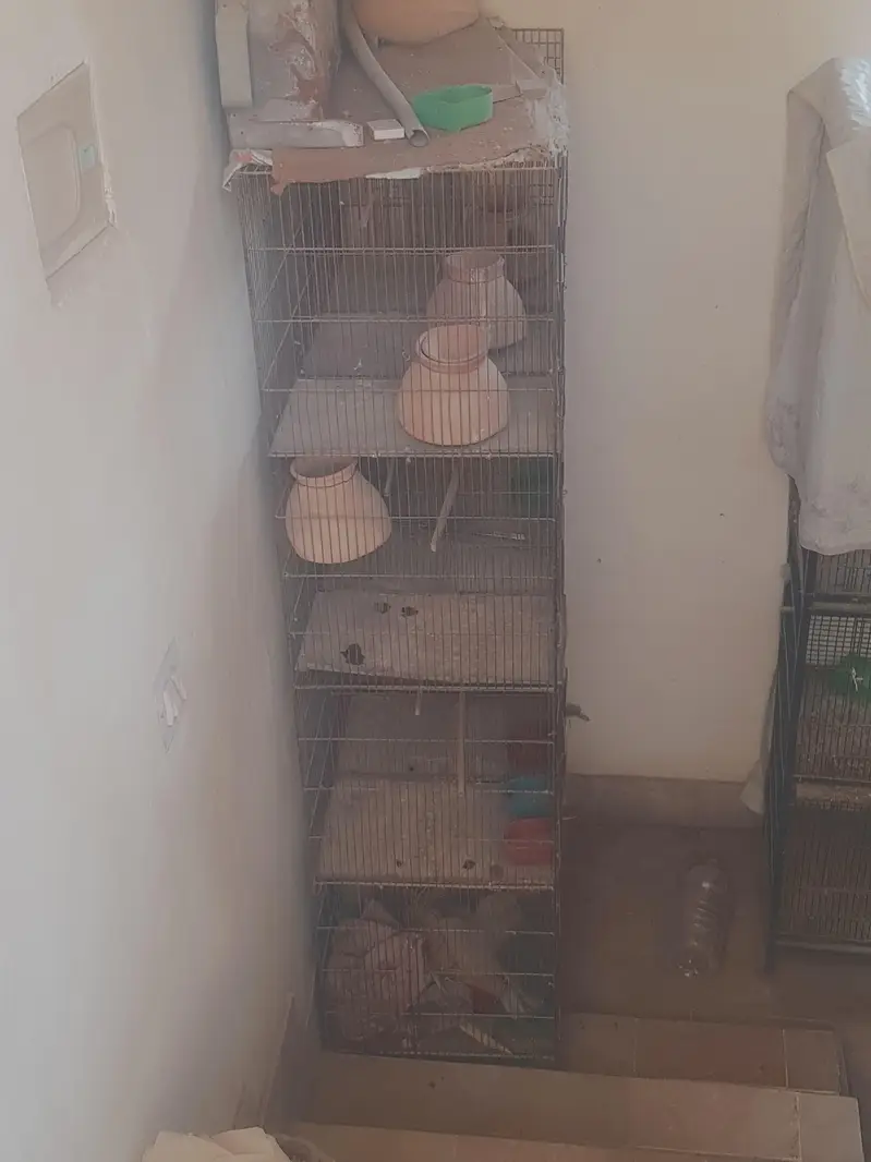 Cage 12 portions — photo 2