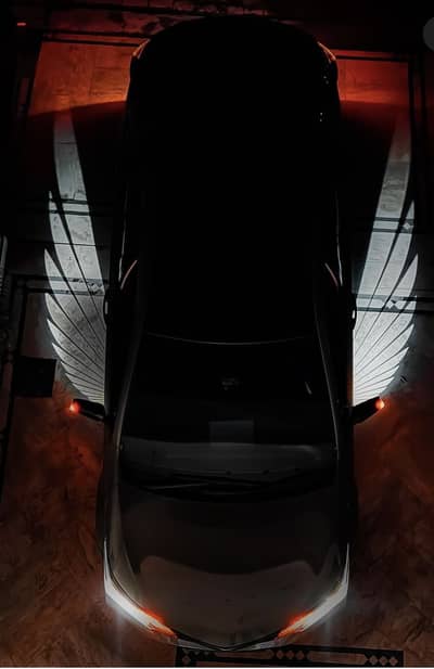 Side mirror Eygle/wings shape light for sale