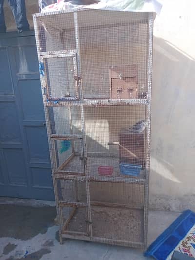 cage for parrots