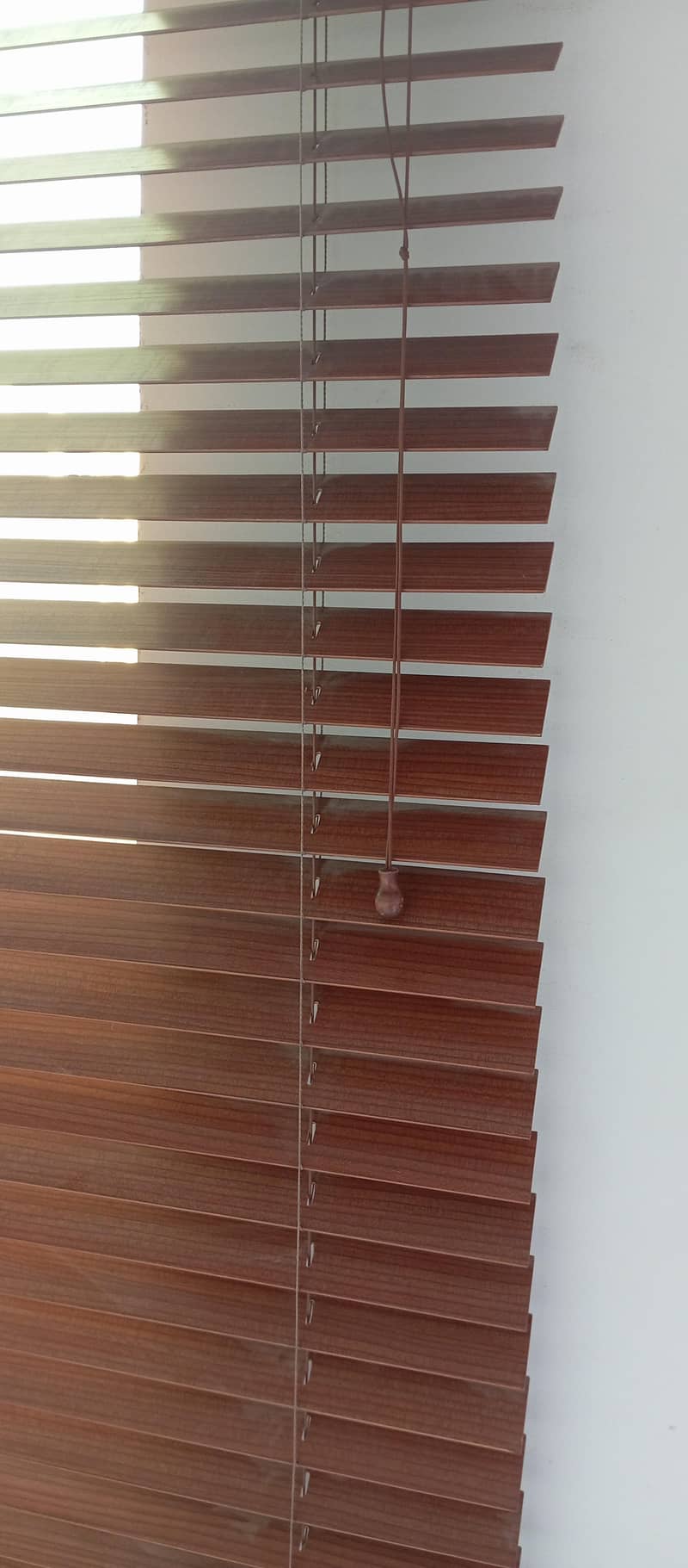 window blinds 1