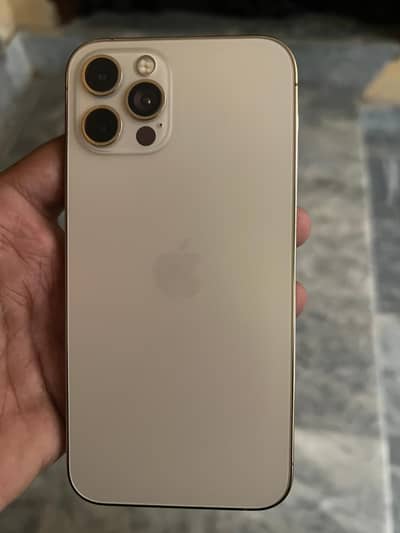 iPhone 12 pro 128 gb Dual PTA sim physical