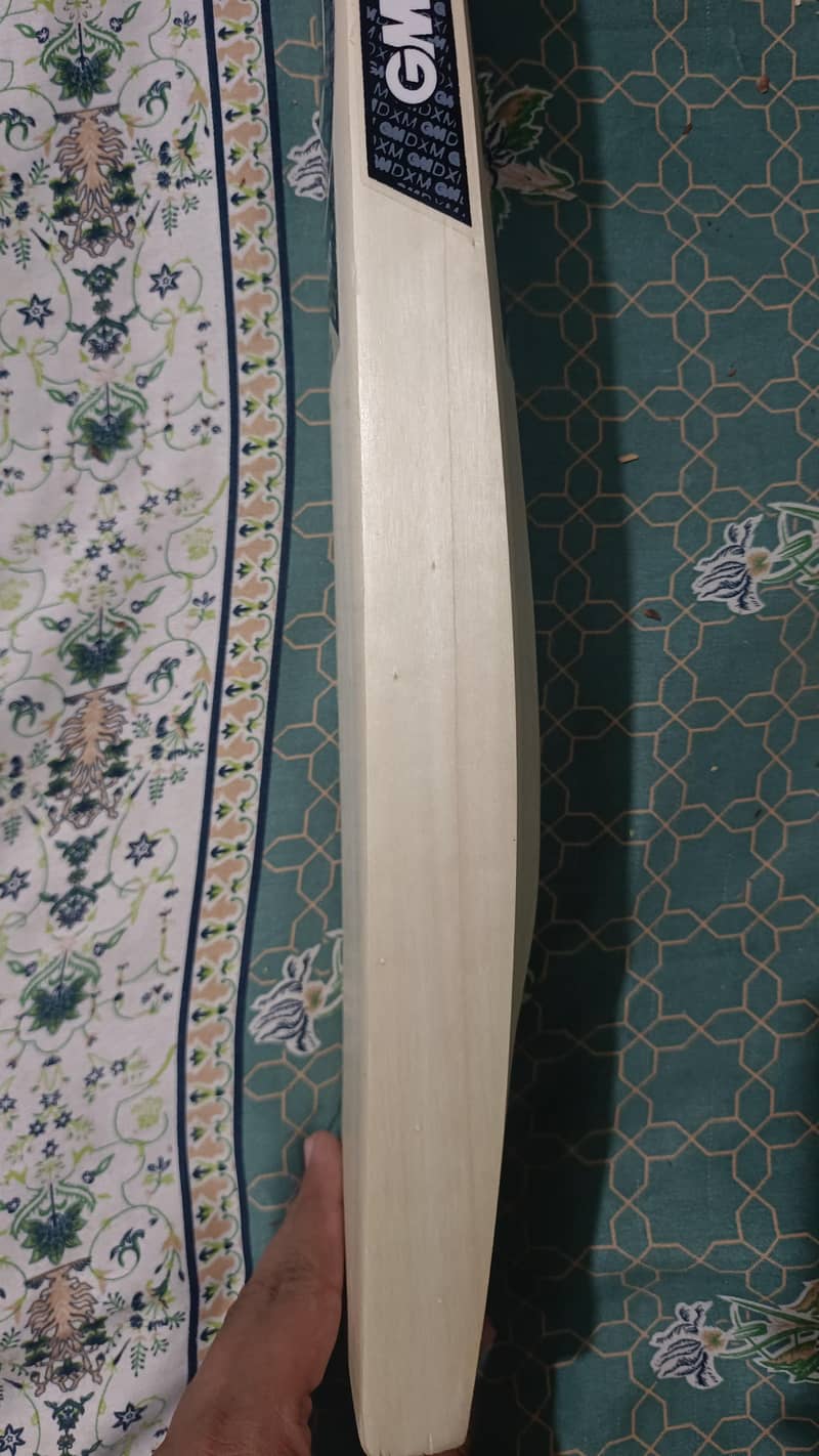 GM Hard Bat 2