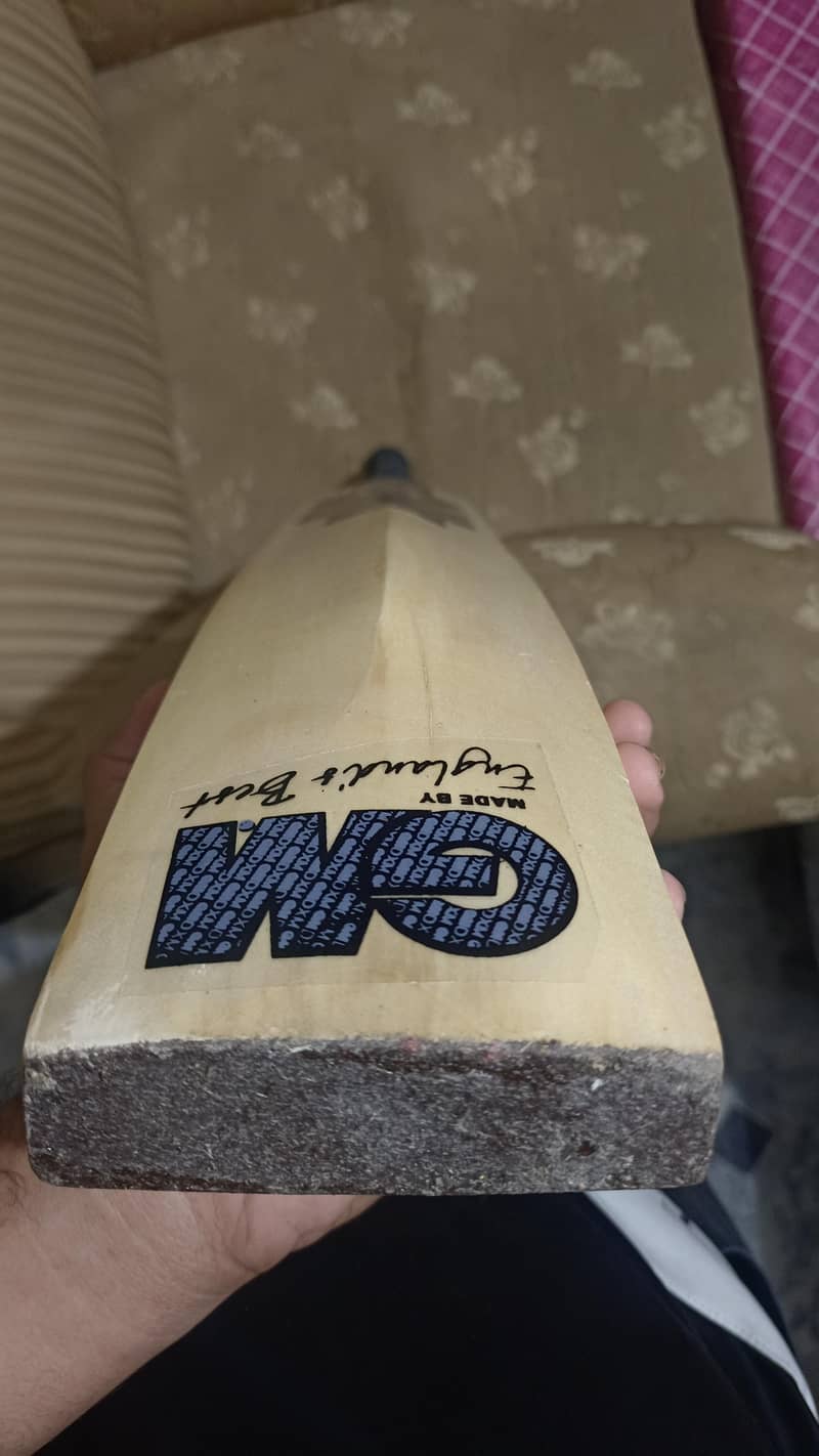 GM Hard Bat 5