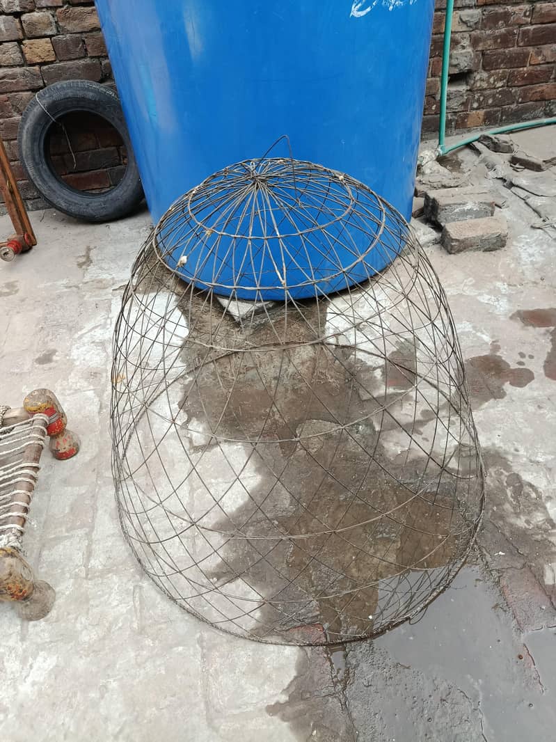 hen cage 1