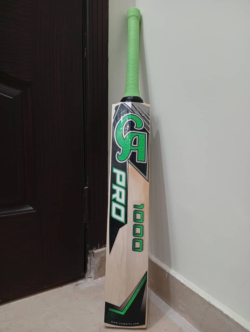 Cricket 5