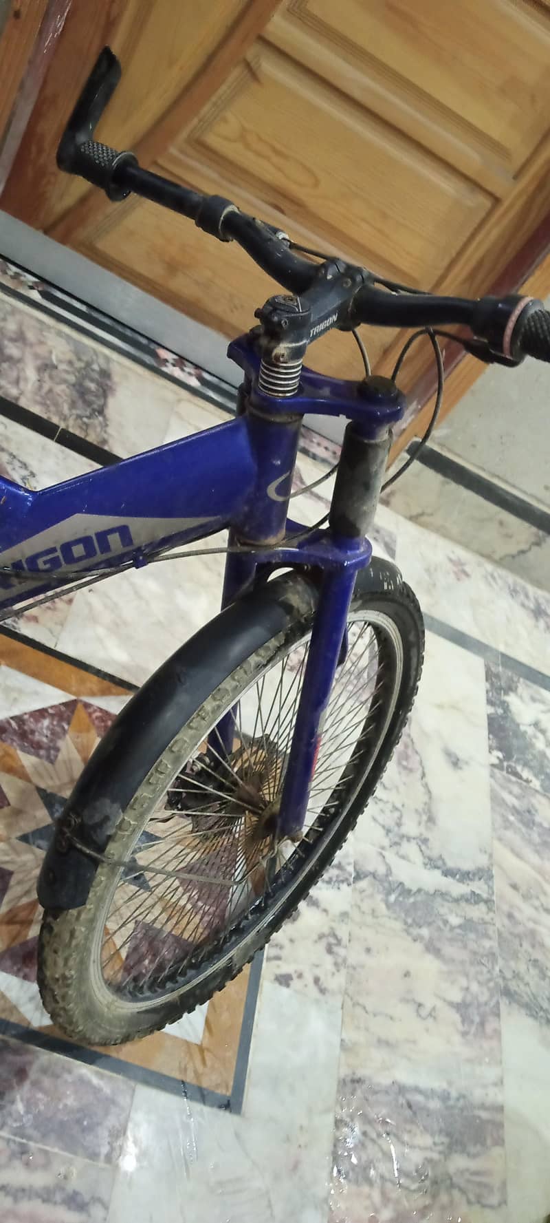 trigon cycle forsell 1