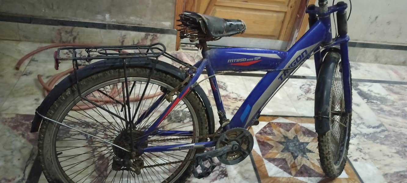 trigon cycle forsell 2