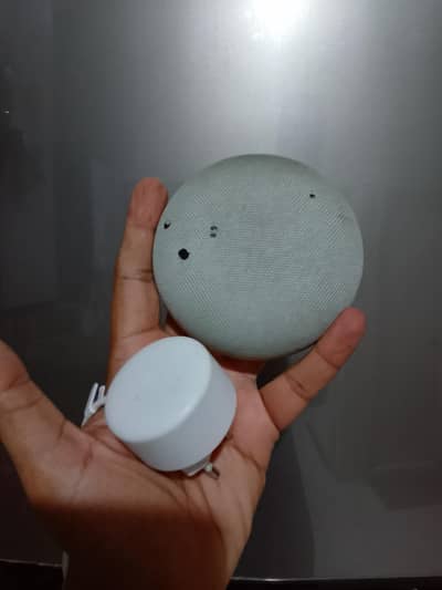 Google home speaker nest model