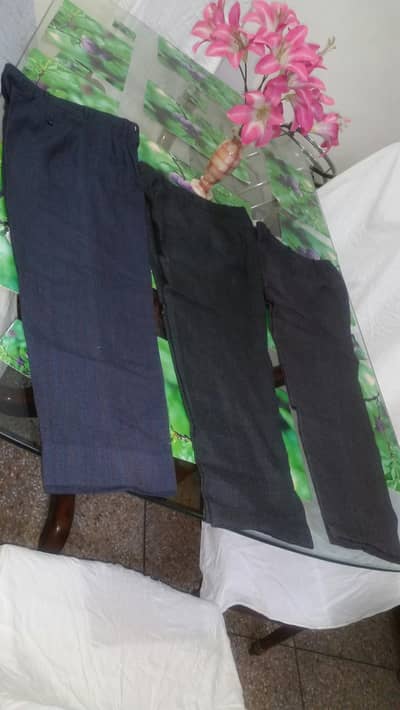 Pants: Laurance Pur clothe & Italian clothe Pants