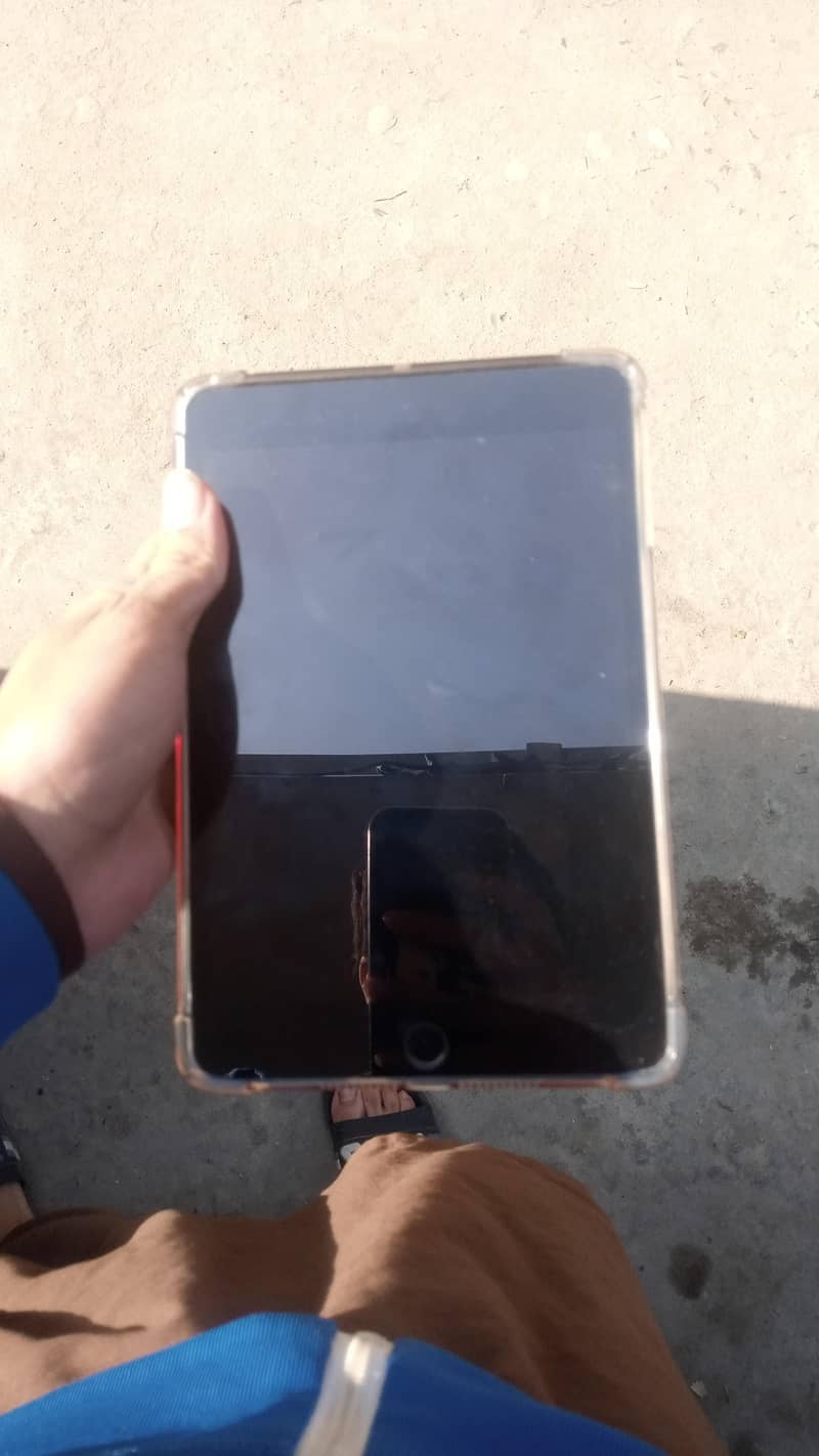 Ipad Mini 5 0