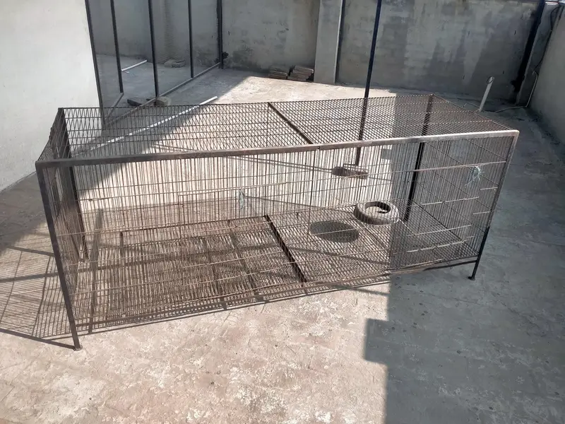 Cage | Iron cage | Birds Cage | Parrot cage | hens Cage | For sale