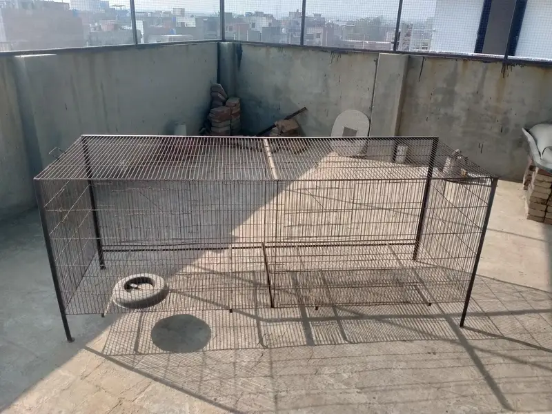 Cage | Iron cage | Birds Cage | Parrot cage | hens Cage | For sale — photo 3