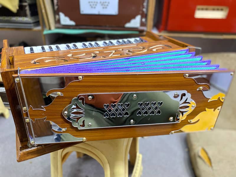 camera below harmonium 8