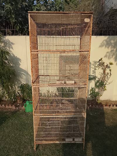 Cage Pinjra Jall