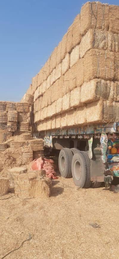Bale Maker BAILING SERVISES. . . BHOOSA FOR SALE. @1000/40 KGS
