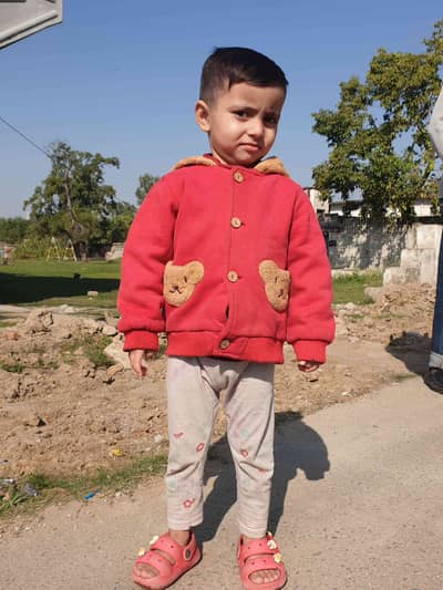 Haider Ali