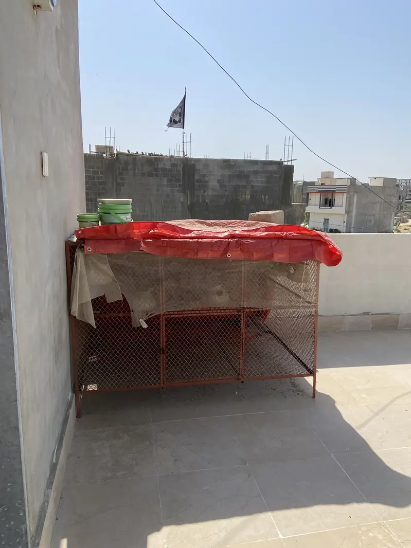 Birds & Hen Cage — photo 2