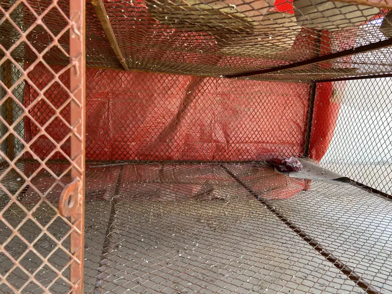 Birds & Hen Cage — photo 4
