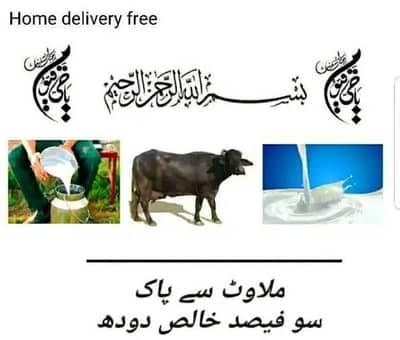 100% pure milk