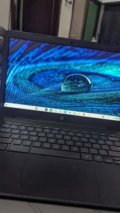 Hp Chromebook 4/32 neat condition