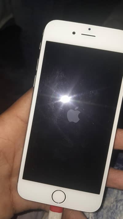 i phone 6s panel +home button