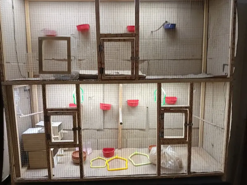 Cage For Sale With Acessories. — photo 2