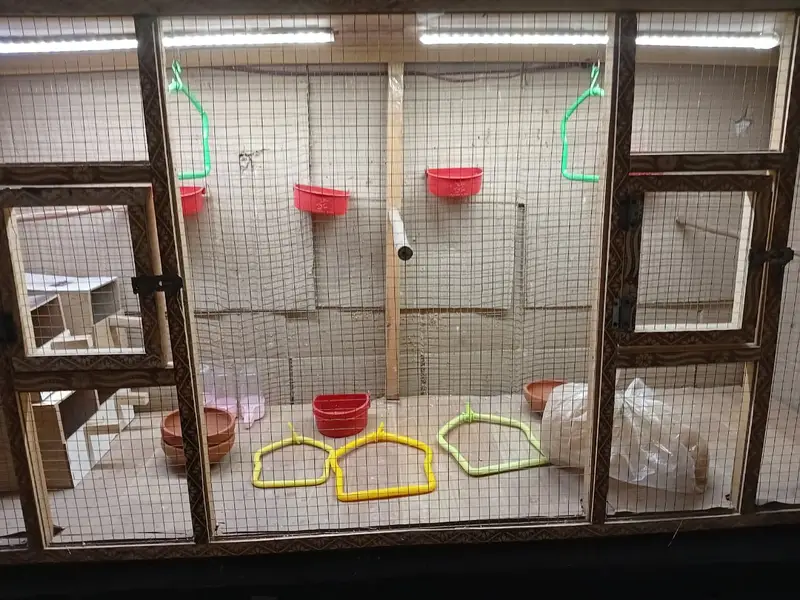 Cage For Sale With Acessories. — photo 3