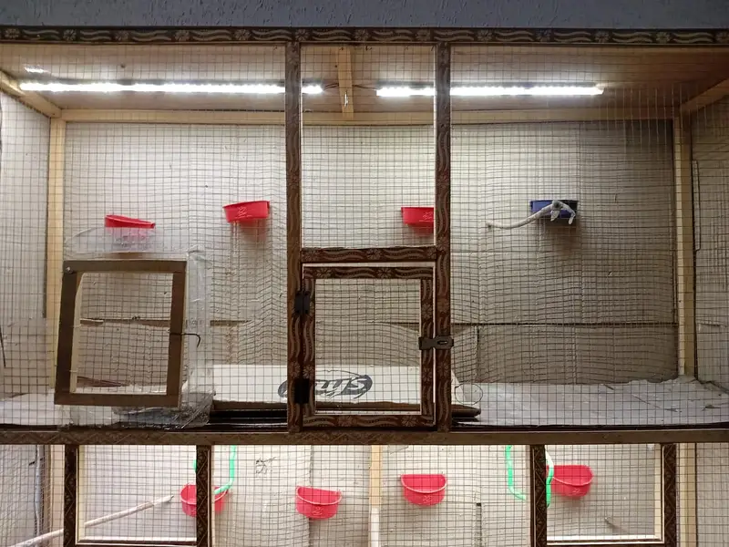 Cage For Sale With Acessories. — photo 4