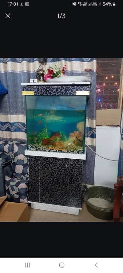 2.5 by 2 ft aquarium on heavy glass