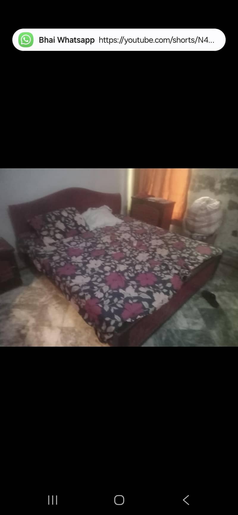 beddd 1