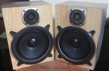 8 inch woofer speaker system