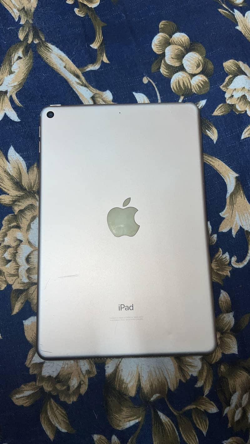 Ipad mini 5 0