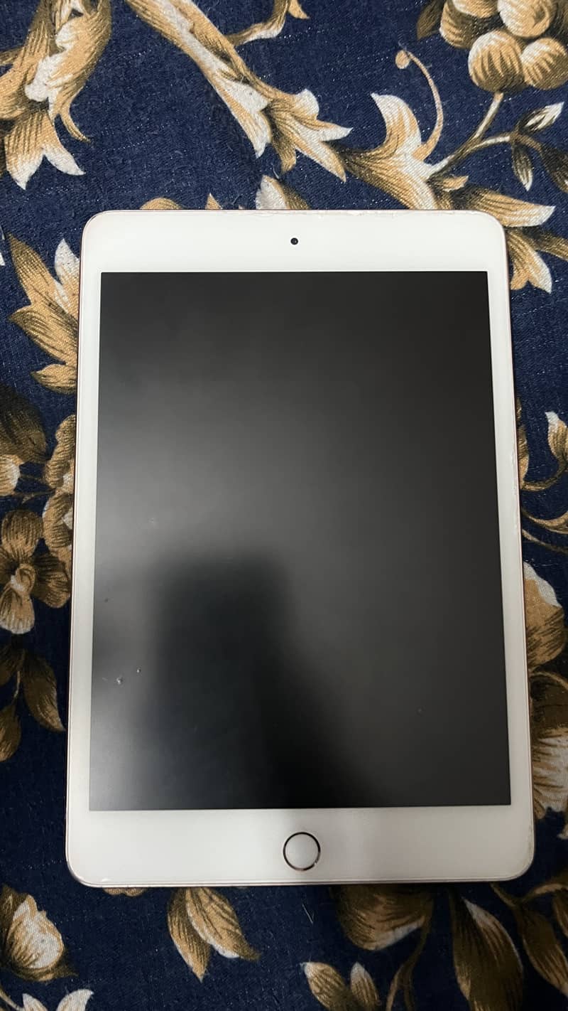 Ipad mini 5 1