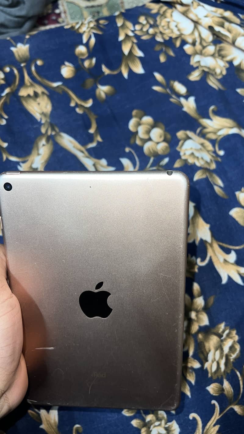 Ipad mini 5 3