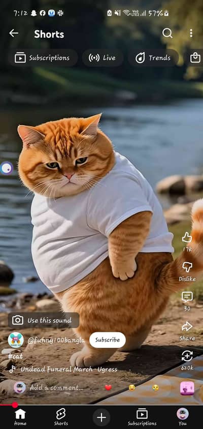 kashif