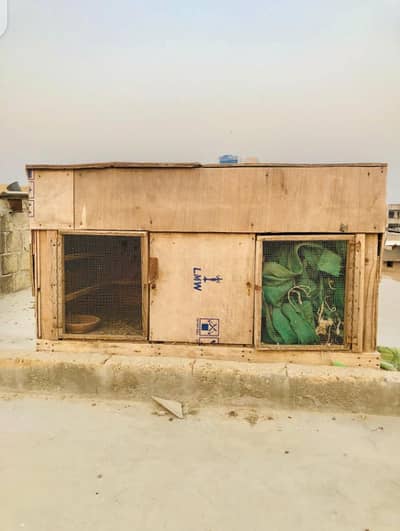 pinzra sale contact 03168947380