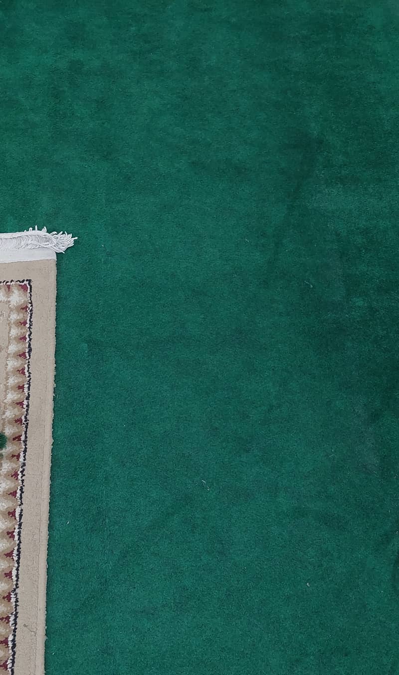 Carpet 0