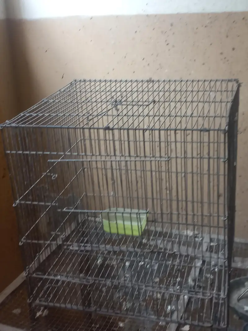 cage for sale read description — photo 4