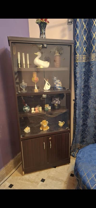 showcase for sale