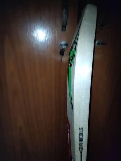 Kashmir willow hard ball bat