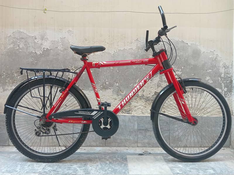 Large and Medium Cycle 0