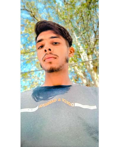 prince Ali